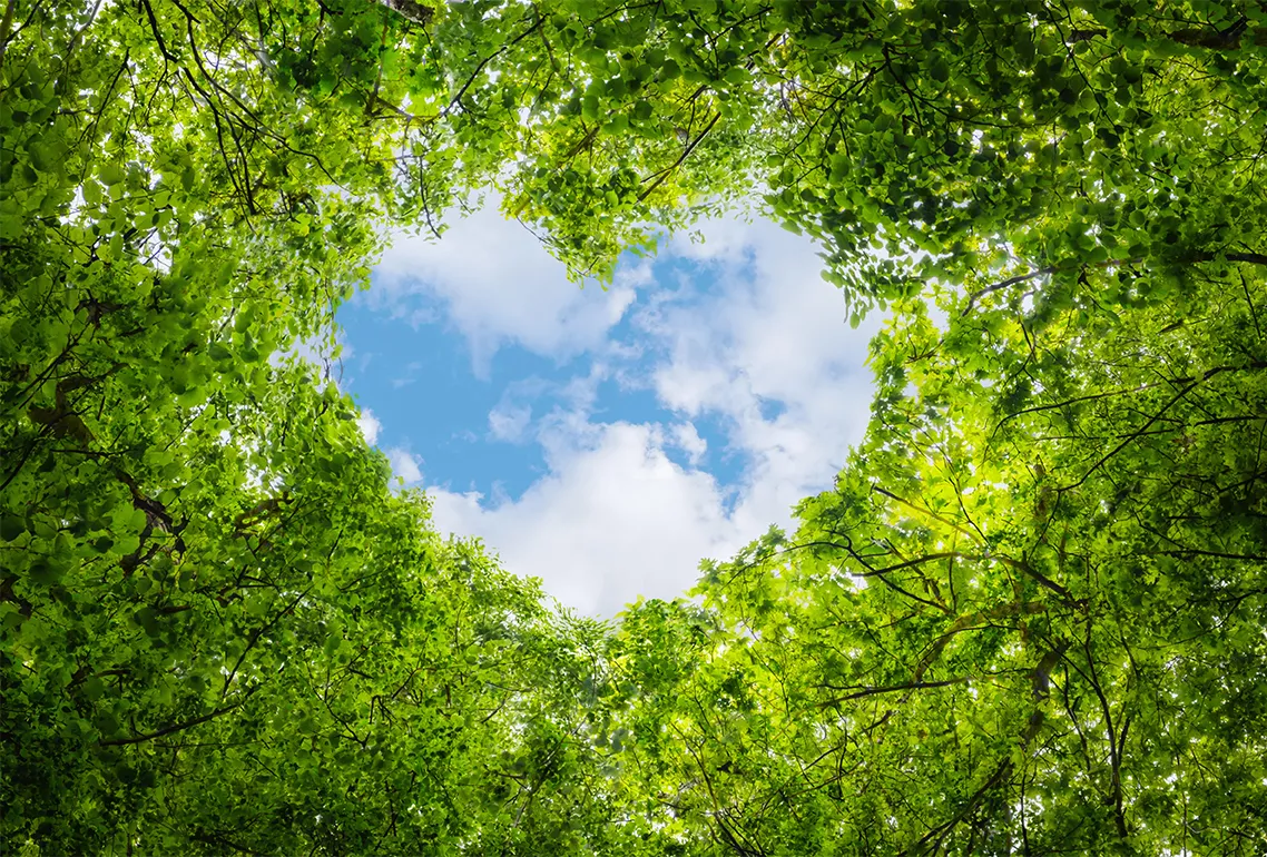 Mieszkania na sprzedaż we Wrocławiu – Zielone miasto