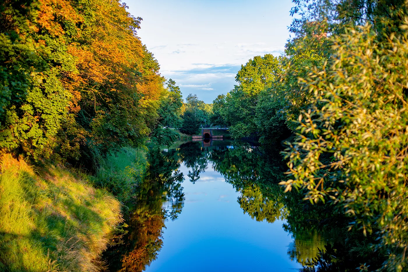 Mieszkania na sprzedaż we Wrocławiu – Tereny zielone wokół osiedla
