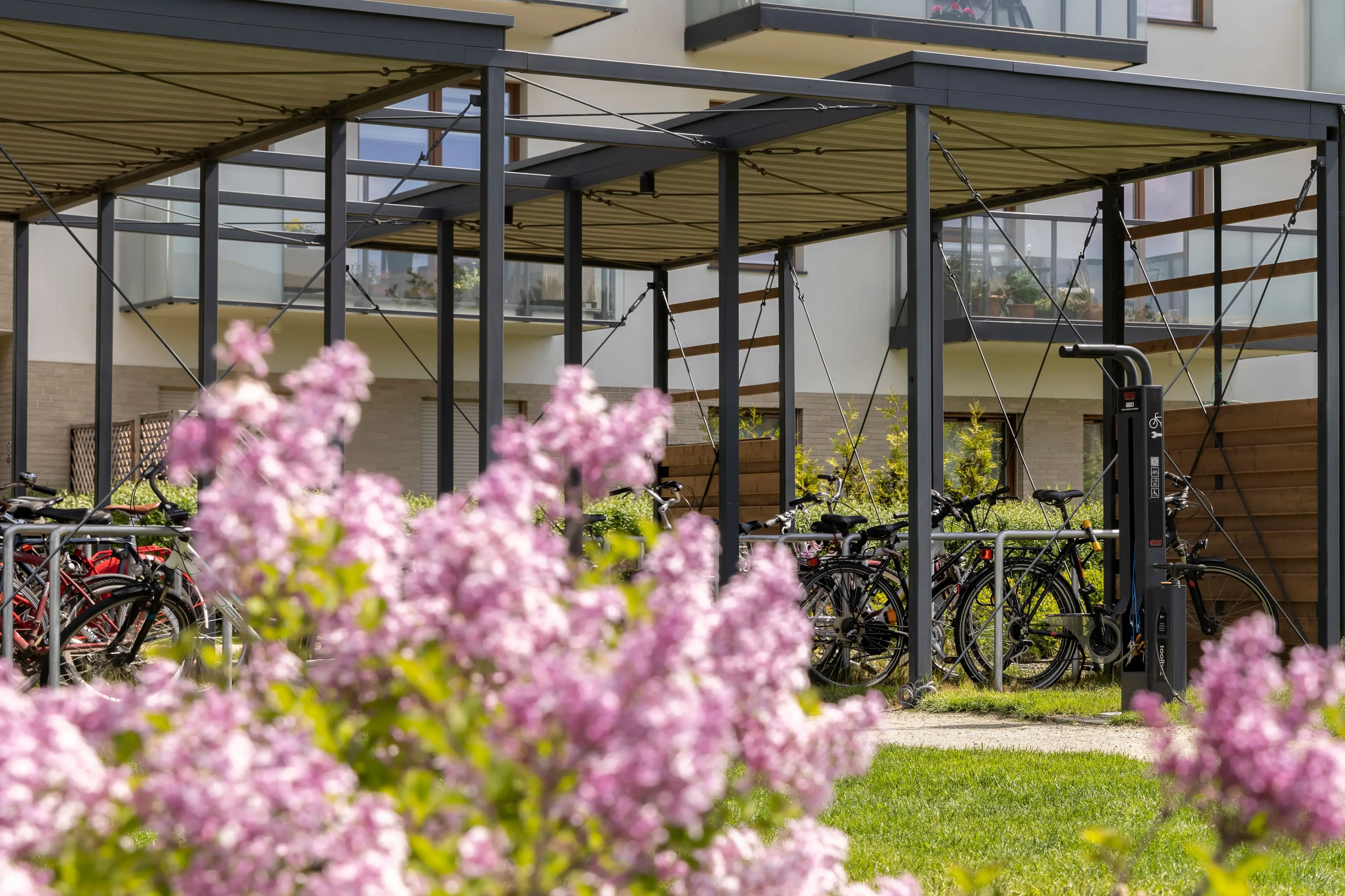 Nowa Letnica Zieleń