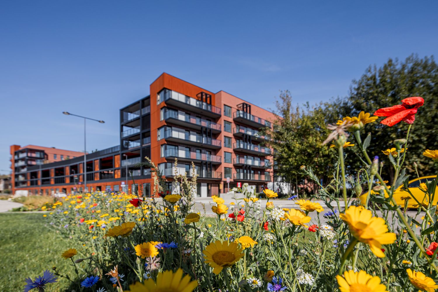 Wypoczynek i rekreacja