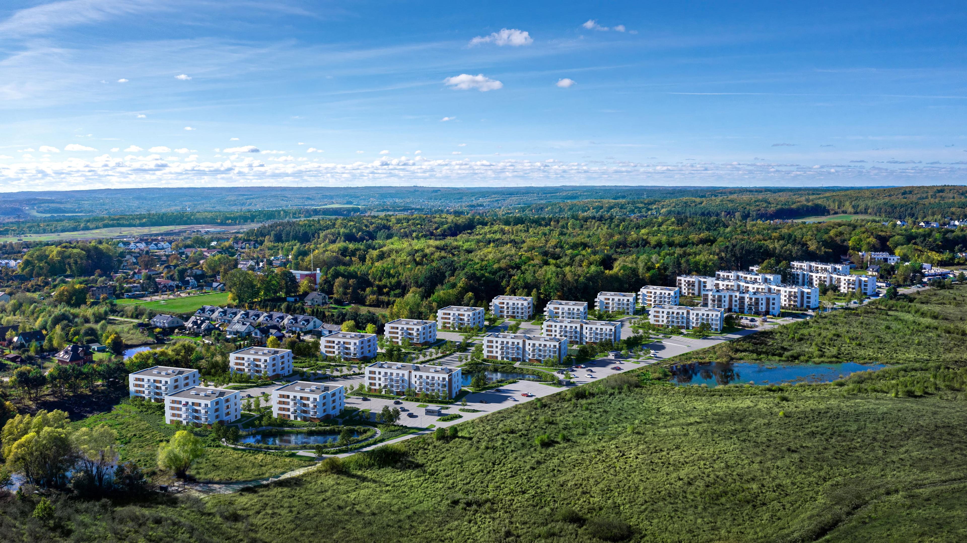 Szumilas lot ptaka
